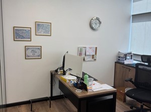 מגוון עבודות צבע